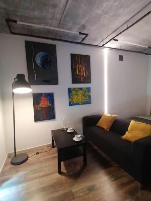 Erdvi Studija Spacious Studio Apartment Self Check In VNO Exterior photo